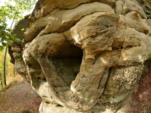 Foto Quasimodo-gresos (c) Petru Goja